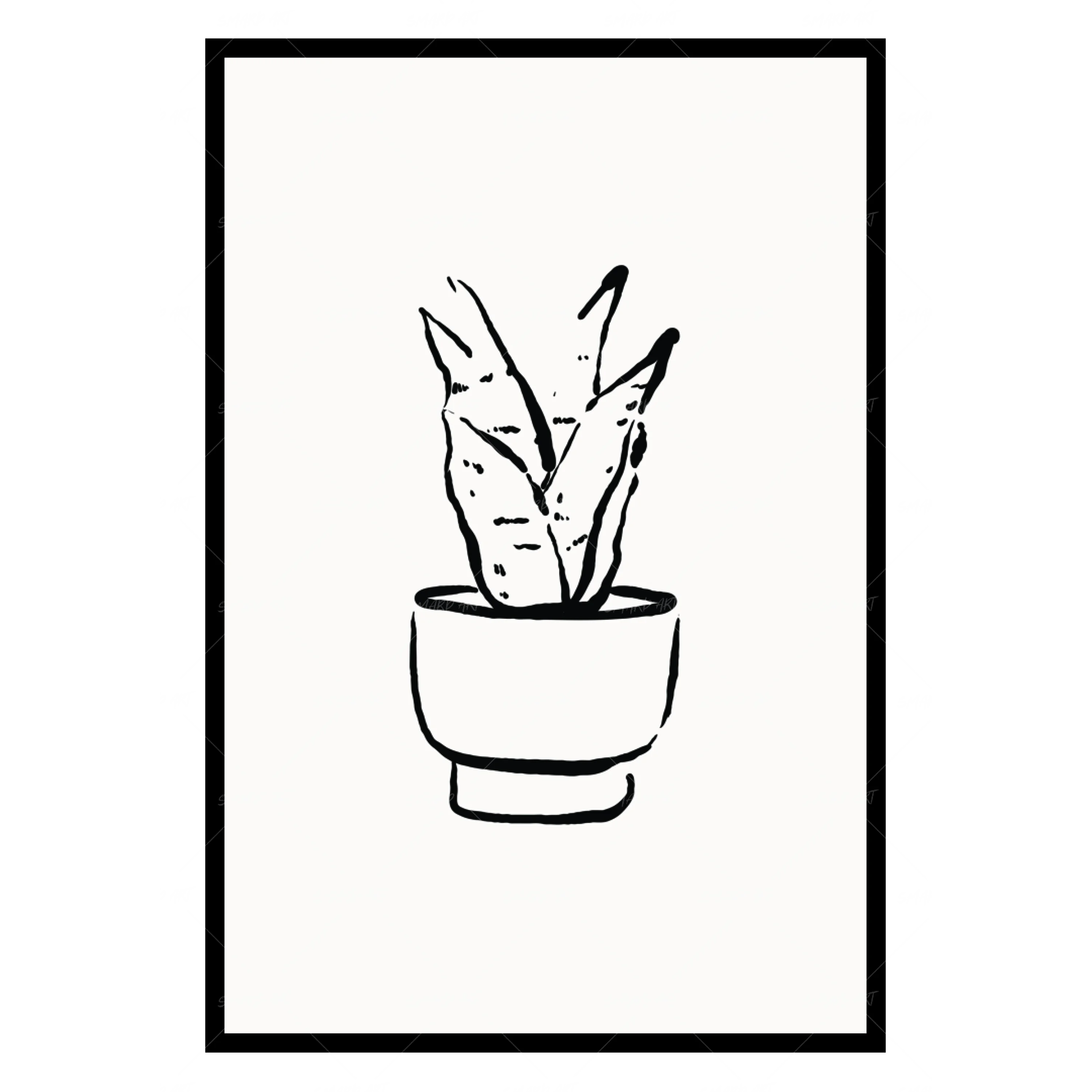 New Growth (Smard x Anaya)-Smard