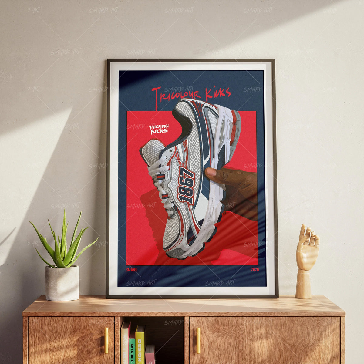 Tricolour Kicks