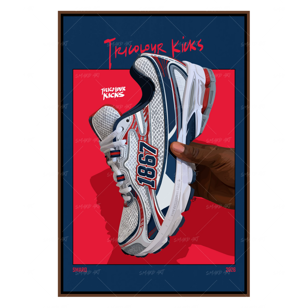 Tricolour Kicks