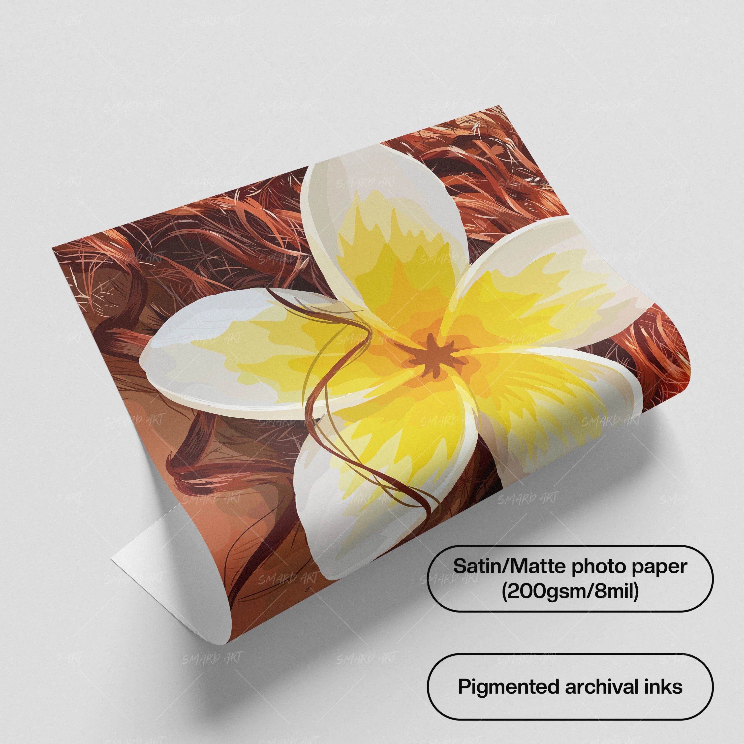 Frangipani Glow
