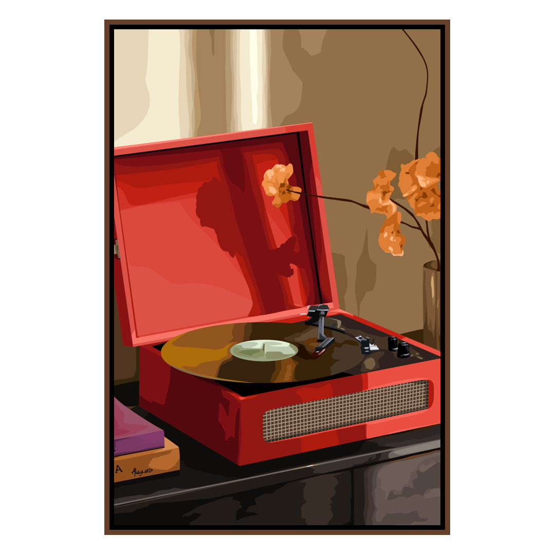 Vinyl Records (Smard X Anaya)-Smard